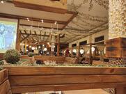 Mundo Animal Lanchonete Temática Sorocaba - Comidas e Bebidas