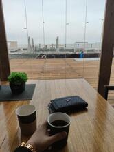 Сочифорния