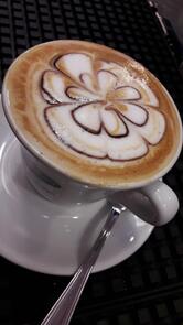 IQOS PARTNER - Ploom x Resseller Osimo