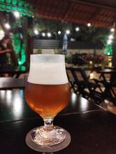 Quintal Fim de Tarde