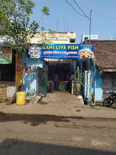 Gani Live fish rjy
