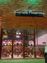 Hortelã Pimenta Gastropub