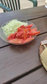 Maso vinicolo Salfgut