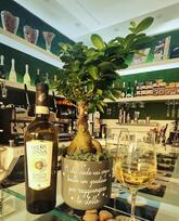 Esclusive Bar_Cornetteria 83042