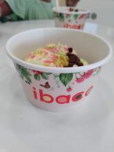 ibaco - Chengalpattu