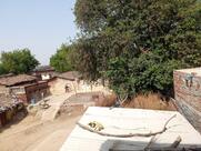 Jain Misthan Bhandar