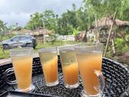 Mesmerizing Bamboo The Eco Retreat