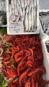 Pescheria Friggitoria il corallo del mare