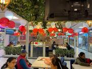 TBD- THE BASIL DINER