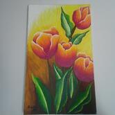 Panificadora São Manoel de Mutum