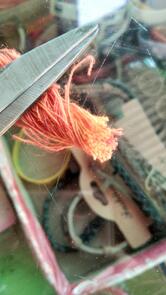 श्री देव फैमिली रेस्टोरेंट डेलाणा