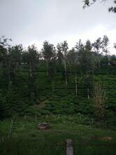 Joseph Tea Stall And Hotel