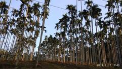 GREEN PARK RASTARAUNT CHETHALAYAM