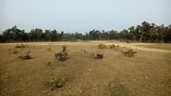 Bhukhal Sweets & Hotel