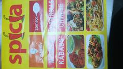 Spicia Kathi rolls chinese