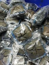 Aroma Food Industries