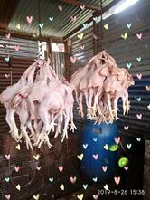 Bismillah Chicken Center