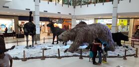 Picanha's Filé & Folhas