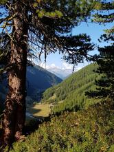 Mountain Inn Grindjisand