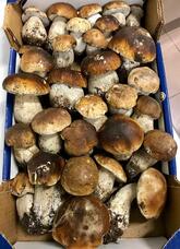 A Volte Ritornano Ristorante Genova