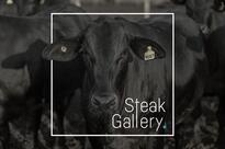 The Steak Gallery
