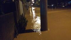 Bar Irmaos Zanette Limitada Me Mee