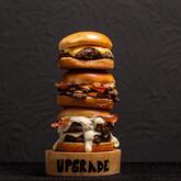 Upgrade Burger