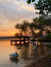 Campingplatz Rausenbach