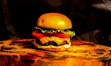 Shumaker Burger Xaxim