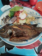 Desayunos Y Comidas Doña Candita