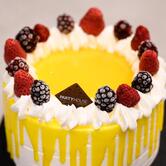 PLOOM STORE Cinque Sensi by Party House