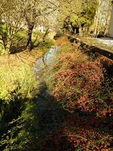 Osteria Vino Al Ponte