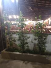 Pizzaria Guanabara Pedra Azul