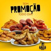O Tal do Gallo Delivery