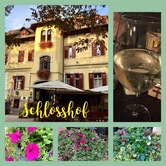 Hotel Schlosshof/Castello