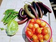 Sunrise restaurant Shrivardhan