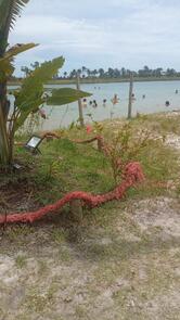 Lagoa Azul, Mucuri, BA