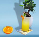 Garibaldi Lounge