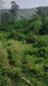 Aditya Birla Group Barbil