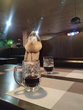 Beer Bar