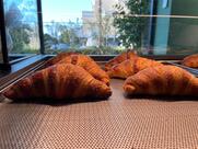 PLOOM STORE Bar - Tabacchi Magna Grecia