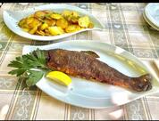 Trattoria Stella
