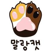 말랑캣 고양이 카페