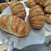 sourdough lab