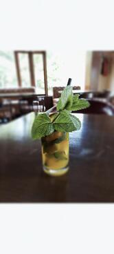 The Naini Retreat - The Walnut Cafe