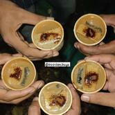 Booster Chaya Alleppey