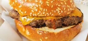 Burger Institute- Institut za burgere