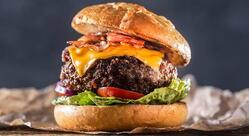 Gatinho Hamburgueria pesticaria