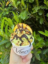 Vincent Gelateria Yogurteria
