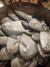 The Fisherman's Wharf, Hyderabad